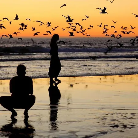 The Ocean Breeze 1br In Caparica, By 315lisbon Costa da Caparica